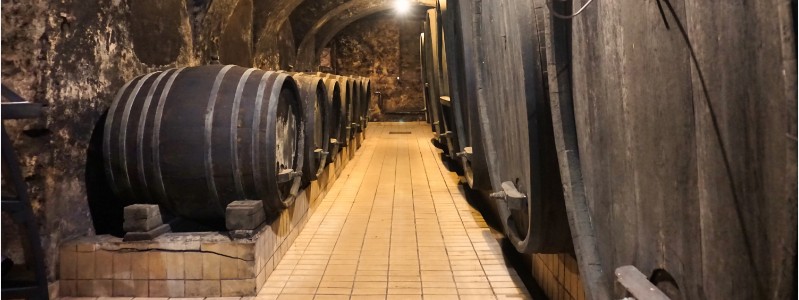 �X���x�j�A�̖��͂𔭐M����uEAST TO EAST�v���C�����T�C�g